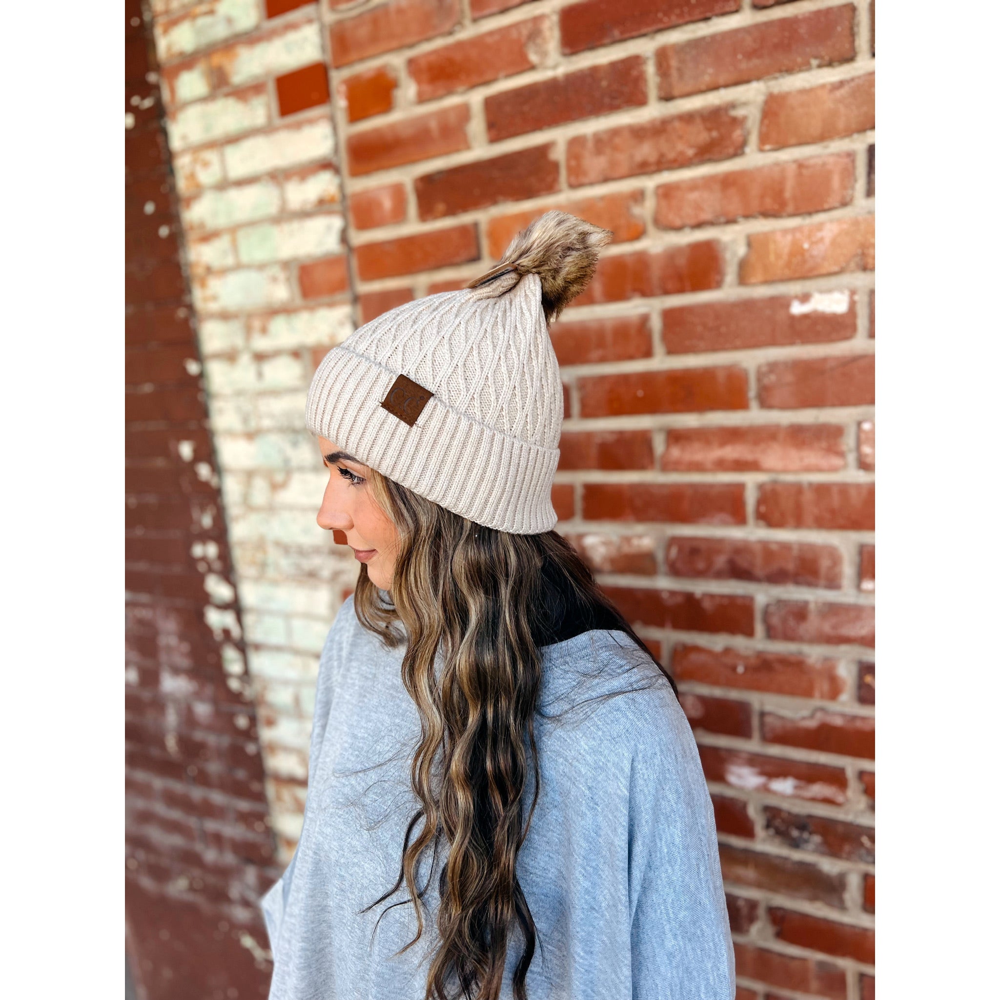 embrace the chill beanie - beige